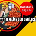 Anlaşmalı Fiyat Tekeli Kırılıyor! Hükümet Harekete Geçti