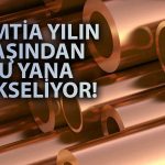 Bakır Dev Bankanın Raporu Sonrası Yılın En Yükseğini Gördü