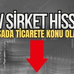 Doğuş Otomotiv’in Kararı Piyasayı Salladı! Hisseler Sert Düştü