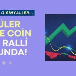 Rekor Çıkışlarıyla Bilinen Meme Coin Ralli Yolunda! İşte 4 Neden!