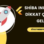 Önemli Shiba Coin Metriğinde Devasa Artış: Neler Olacak?