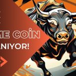 Popüler Meme Coin Yüzde 2300 Artışla Geçen Aya Damgasını Vurdu!