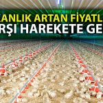 Ticaret Bakanlığı Beyaz Et İhracatını Yasaklayabilir