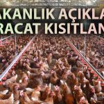 Ticaret Bakanlığı Kanatlı Et İhracatına Kısıtlama Getirildiğini Duyurdu