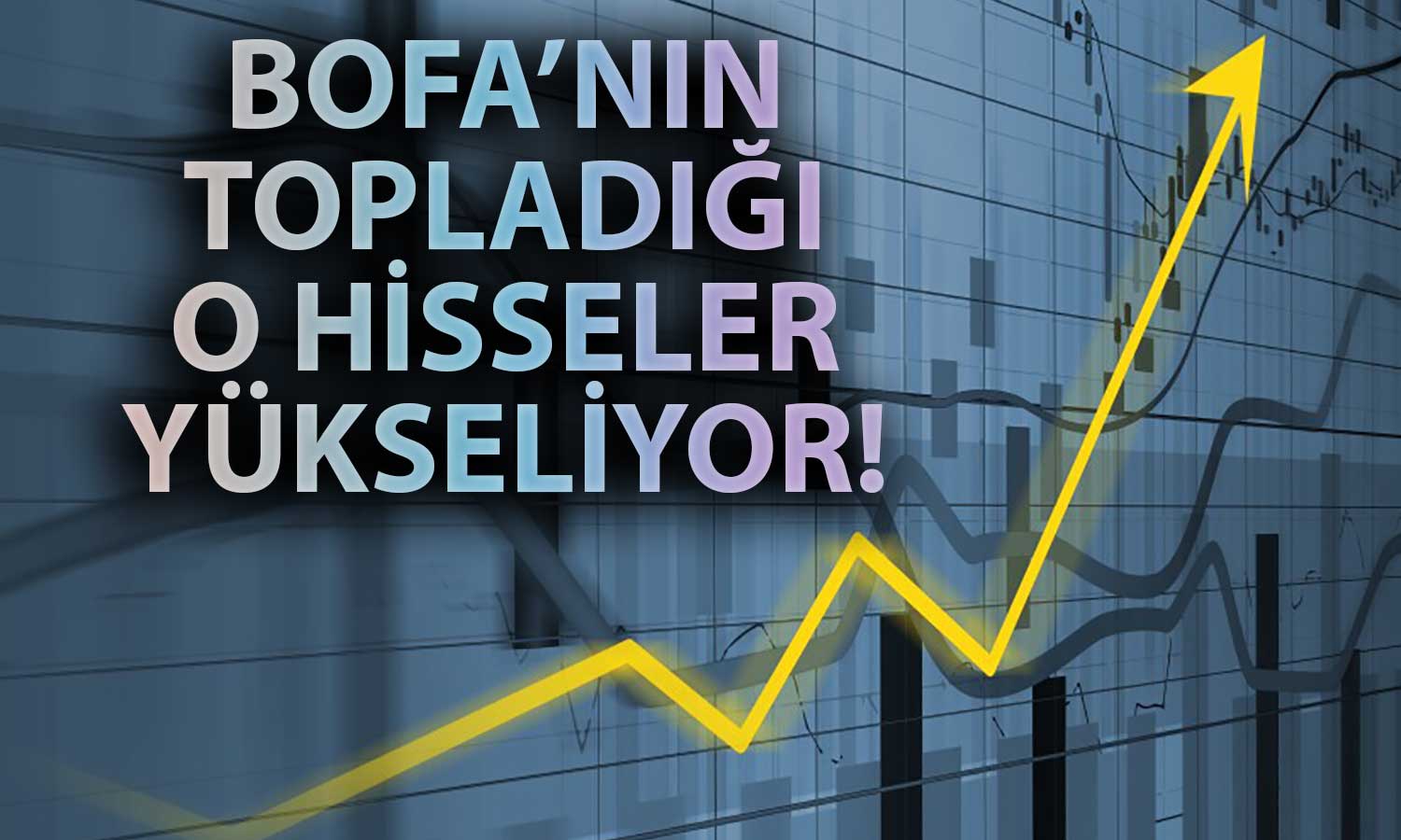 BofA Banka Endeksi Rekor Kırarken O Hisseleri Topladı