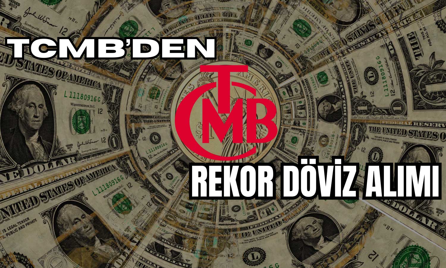 Döviz Alımlarında Zirve! TCMB Rekora İmza Attı