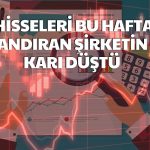 Enerji Şirketinin Net Karı Yüzde 535 Düştü