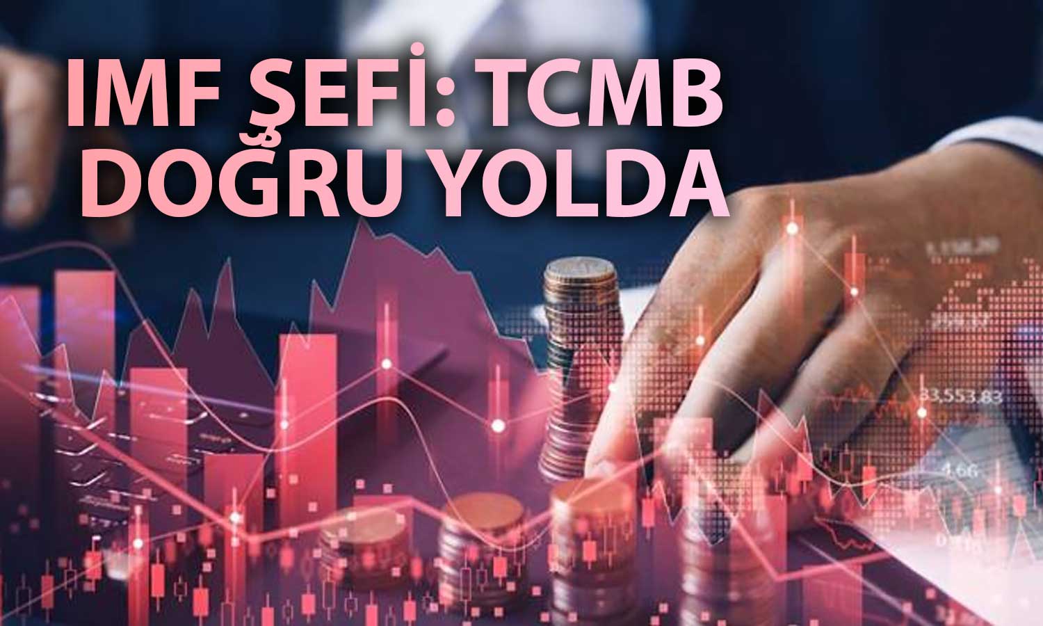 IMF Türkiye Şefi TCMB’nin Ekonomi Politikasını Değerlendirdi