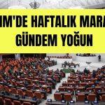 Meclis Kulisleri Isınıyor: Haftanın Gündemi Dolu!