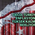 OECD’den Türkiye Raporu: 2024 Büyüme ve Enflasyon Tahmini