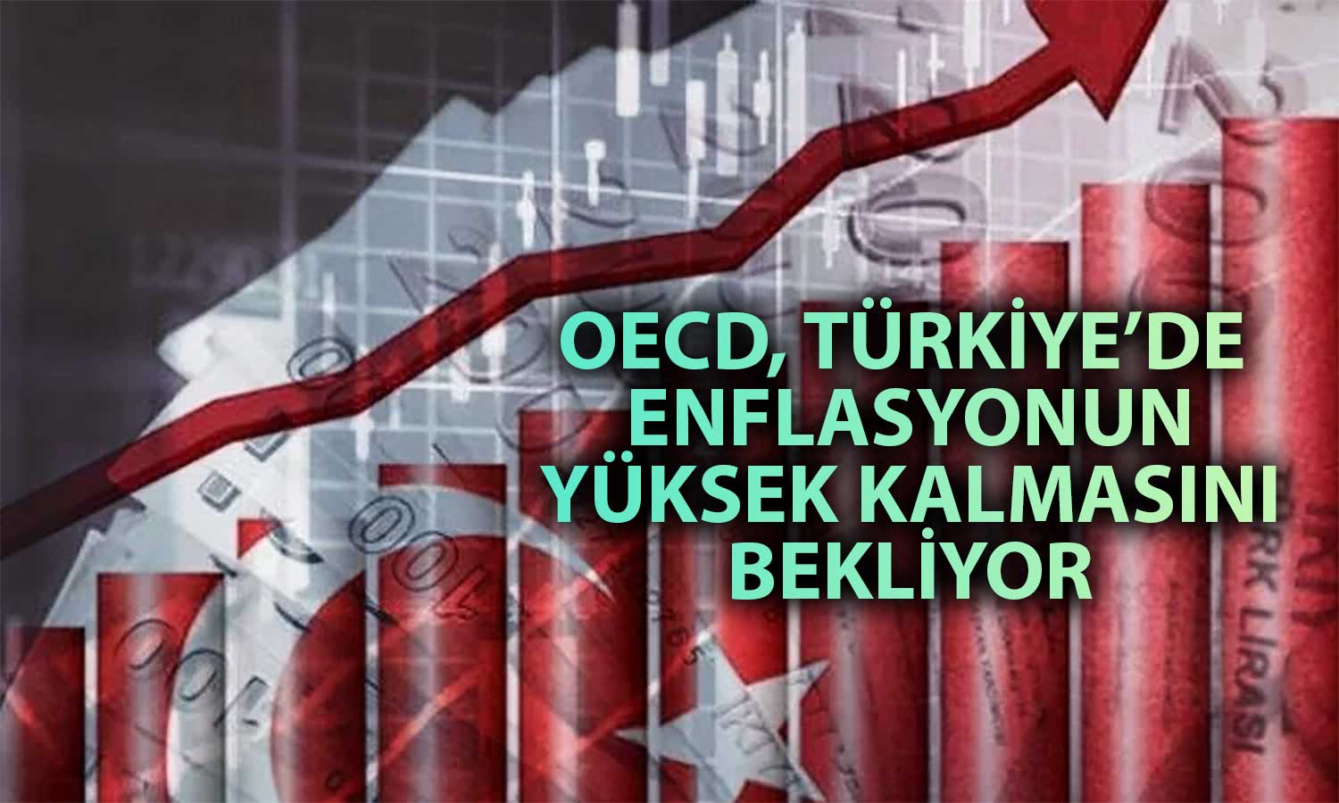 OECD’den Türkiye Raporu: 2024 Büyüme ve Enflasyon Tahmini