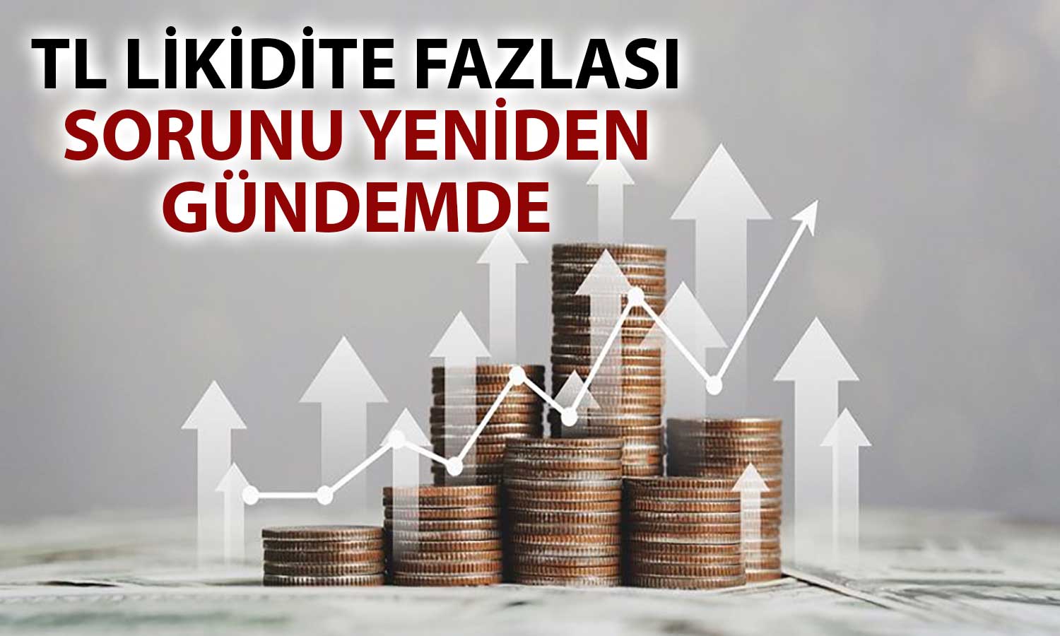 TCMB’nin TL Mevduat Faizlerine Yönelik Hamle Yapması Bekleniyor