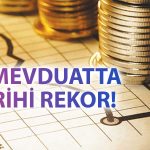 BDDK Duyurdu: Bankadaki TL Mevduatlarında Yeni Zirve