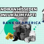 Borsa Düşerken BofA En Çok Bu Hisseyi Topladı