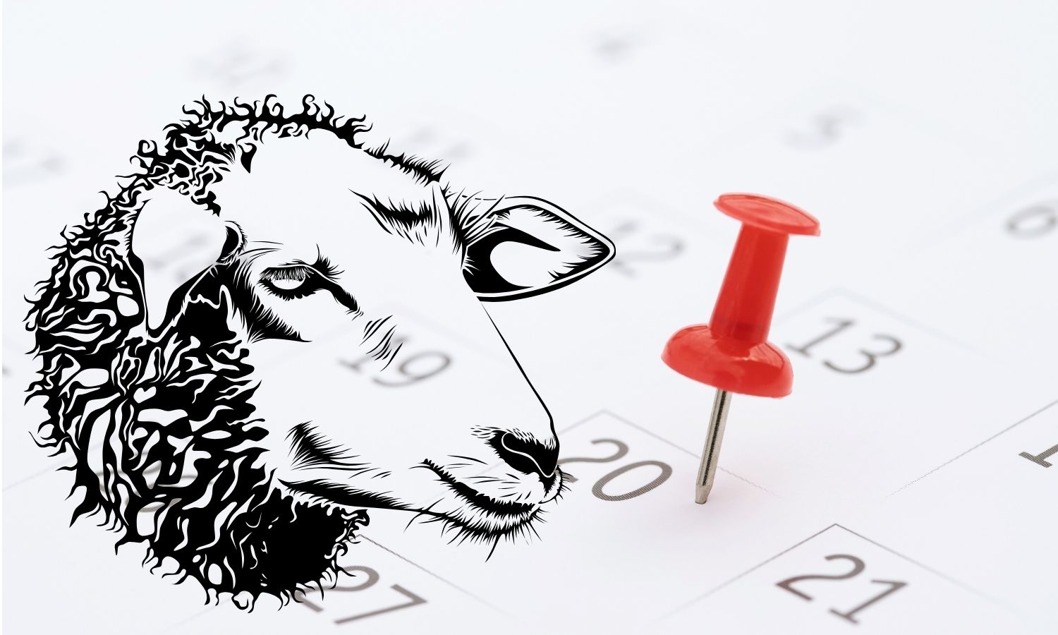 Gözler Beştepe’de: Kurban Bayramı Tatili 9 Gün mü Olacak?