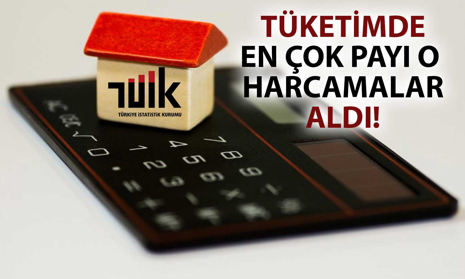 Hanehalkı Araştırması Yapıldı: 2023’te En Çok Harcama O Payda