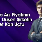 Hisseleri Çakılan Halka Arz Bilançosuyla Meydan Okudu