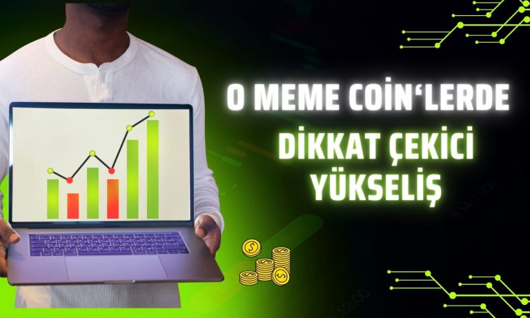 2 Büyük Meme Coin Pazardaki Dalgalanmaya Rağmen Patladı!