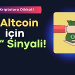 Balinaların İlgisini Çeken ADA ve 2 Coin için “Satın Al” Sinyali!
