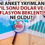 TCMB’nin Haziran Anketinde Yıl Sonu Enflasyon ve Dolar Beklentisi Düştü