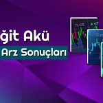 Yiğit Akü Kaç Lot Verdi? Halka Arz Sonuçları Geldi