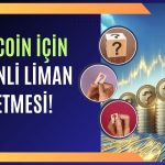 Kripto Kan Banyosunun Ortasında Sığınılacak 3 Altcoin Açıklandı!