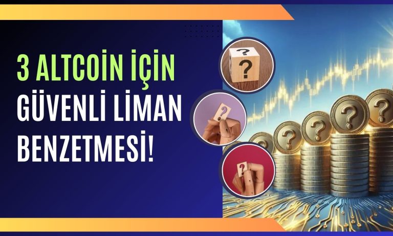 Kripto Kan Banyosunun Ortasında Sığınılacak 3 Altcoin Açıklandı!