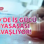 ABD’de Özel Sektör İstihdamı Haziran’da Beklentiden Az Arttı