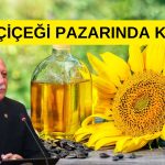 Ayçiçeği Üretimi ve Fiyatları Alarm Veriyor! Bayraktar Uyardı