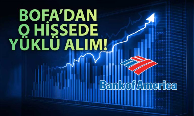 BofA Bu Hafta Rekora Koşan Hissede Yüklü Alım Yaptı