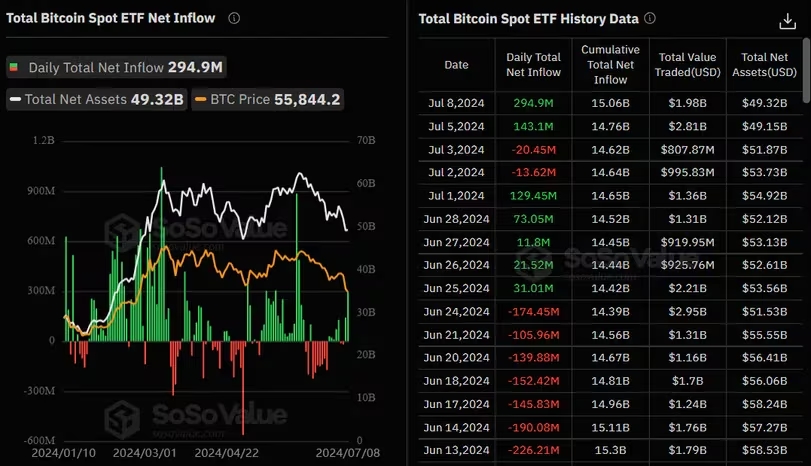 Bitcoin Spot ETF Girişleri