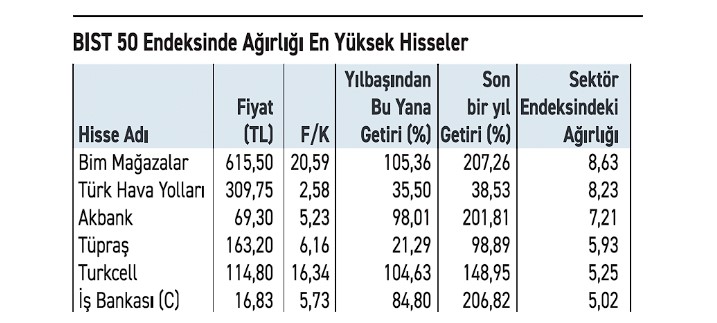 Bu 6 Hisseye Dikkat! BIST 50’yi Ayakta Tutuyorlar