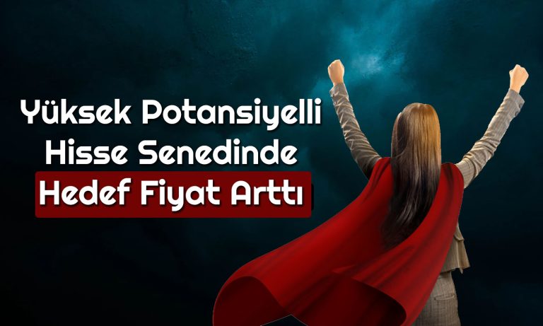 Bu Hissede 376 TL Kapısı Açık! Yüzde 100’den Fazla Potansiyel