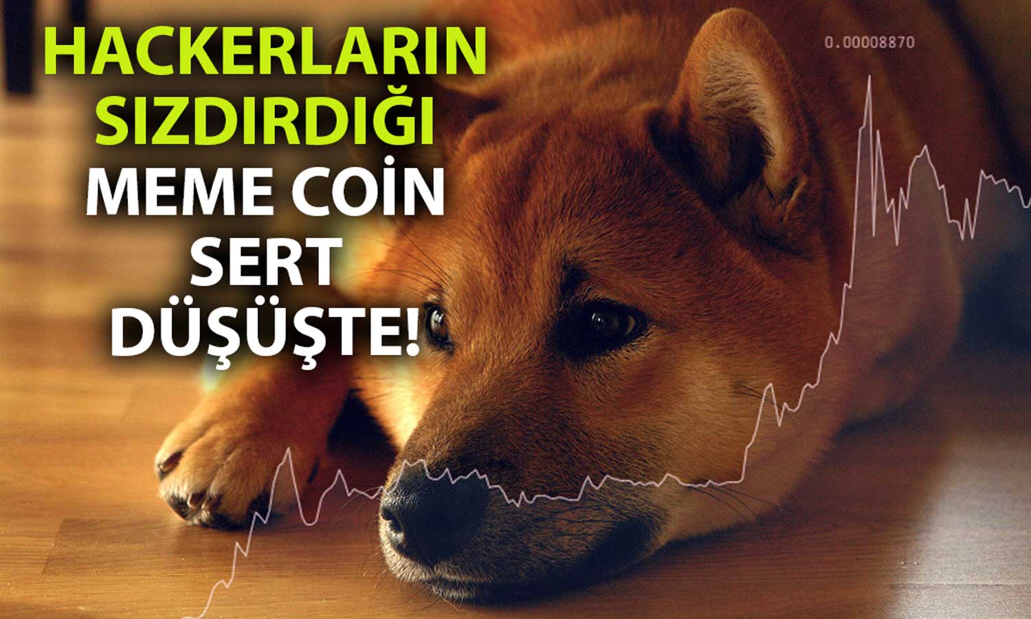 Dev Kripto Borsası Hacklendi: En Çok O Meme Coin Düştü