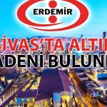 Erdemir’den Altın Madeni Açıklaması: Çalışma Başlatılacak