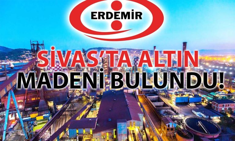 Erdemir’den Altın Madeni Açıklaması: Çalışma Başlatılacak