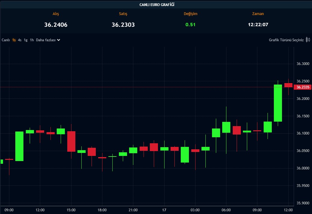 Euro Yeni Rekor