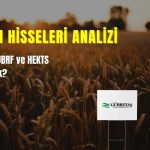 GCM Yatırım’dan Tarım Analizi; AGROT, GUBRF ve HEKTS’a Dikkat!