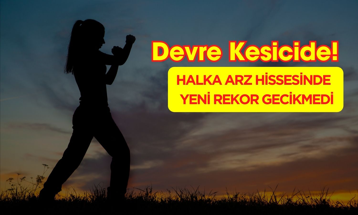 Halka Arz Devre Kesti! Rekor Üstüne Rekor Kırıyor