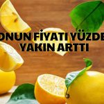 Haziran’ın Zam Şampiyonu Limon Oldu