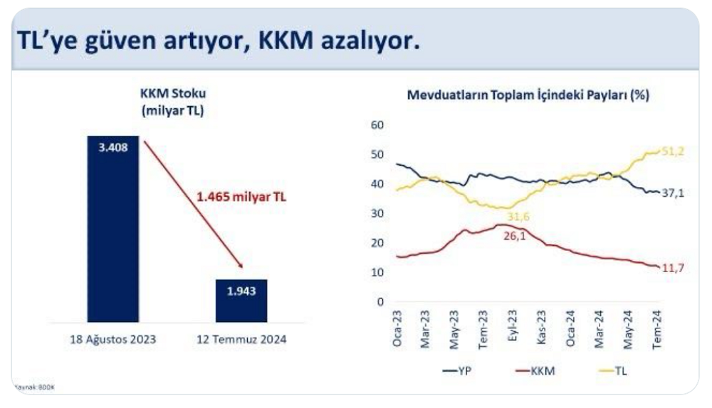 Bakan Şimşek'ten TL Açıklaması