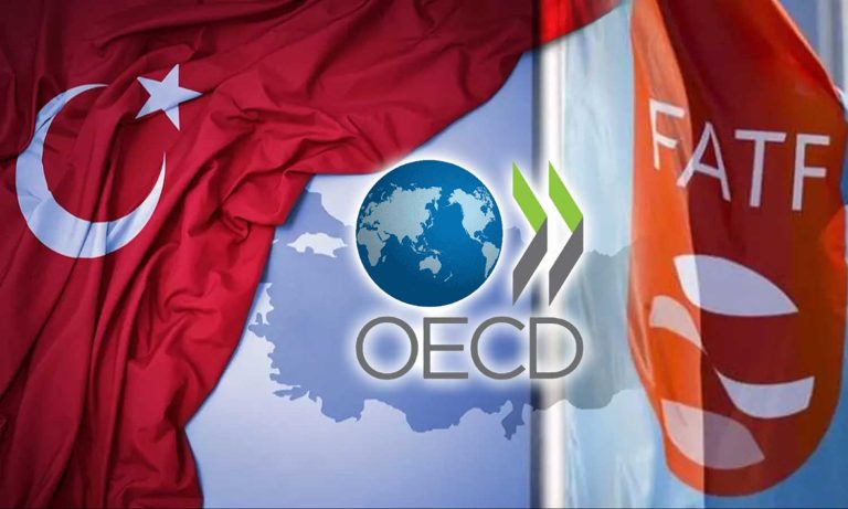 OECD’den Gri Liste Yorumu: Türkiye’ye Yabancı Yatırım Artacak
