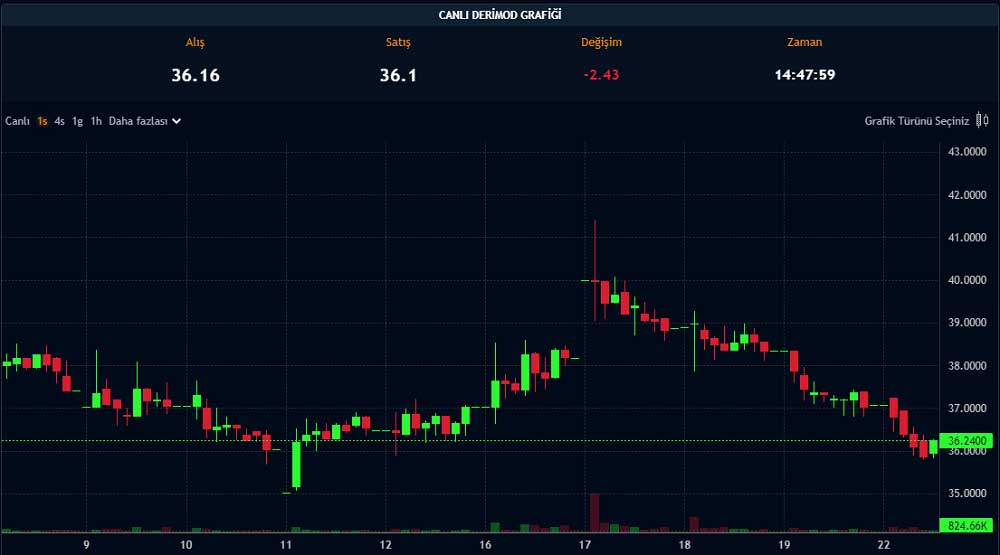Paratic Piyasalar Derimod Canlı Grafik