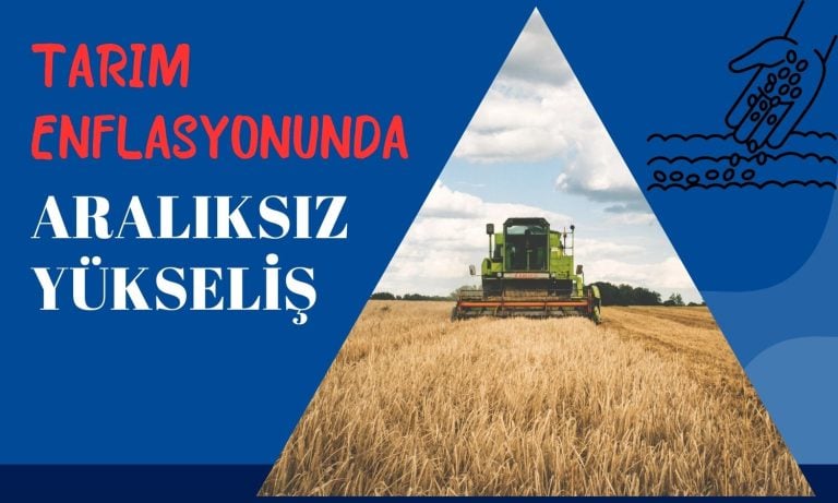 Tarım Enflasyonu 4,5 Yıldır Aralıksız Yükseliyor