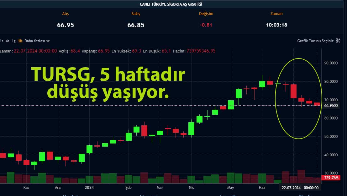 TURSG haftalık grafik