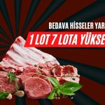 1 Lot 7 Lota Çıkıyor, Bedava Hisseler Kapıda!
