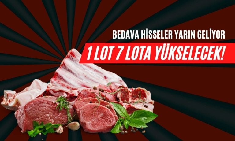 1 Lot 7 Lota Çıkıyor, Bedava Hisseler Kapıda!