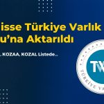 12 Şirketin Hissesi Türkiye Varlık Fonu’na Aktarıldı