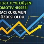 Ak Yatırım En Çok O Otomotiv Hissesini Aldı: 200 Milyon TL’yi Aştı