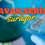 Aylık Kazanç Yüzde 80’i Aştı! Tavan Serisi Sürüyor